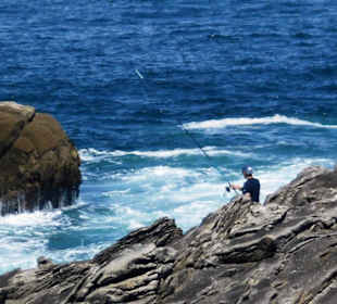 Fahrt entlang der Küste
