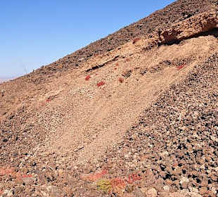 Caldera de los Arrabales