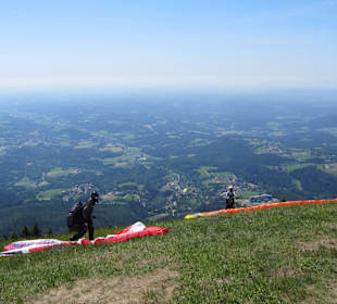 Paragleiter