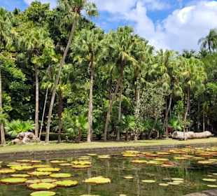 Mauritius Deutschsprachige Touren