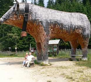 Der Almo auf der Teichalm
