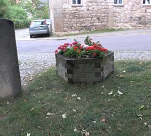 Stein mit Hirschhorn