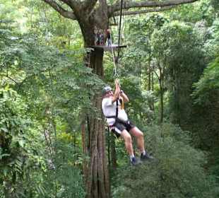Tarzan lässt Grüßen