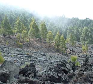 Cumbre Vieja / Lavastrom von San Nicolas