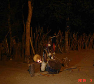 Krüger Nationalpark