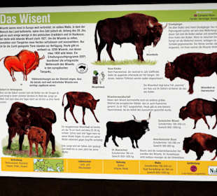Infotafeln im Tierpark