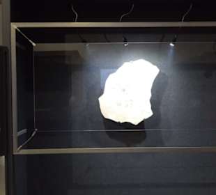 Dinosaurier Museum Altmühltal