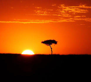 Sonnenaufgang Masei Mara