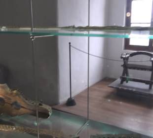 Folterwerkzeuge - Festungsmuseum