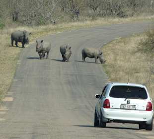 In der Nähe des Camps