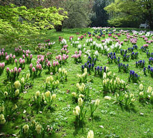 Frühling im botanischen Garten 