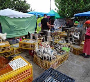 Rundgang über den Marché forain du Front de Mer