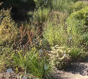 Botanischer Garten 