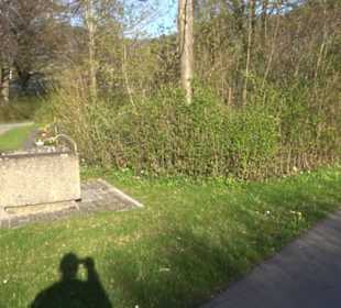 Friedhof Beuren