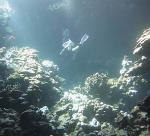 Shaab Marsa Alam