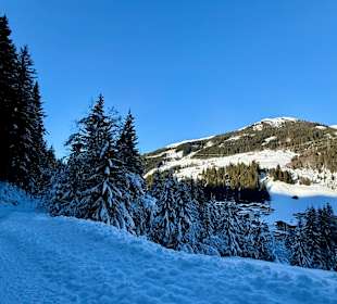 Ausblick