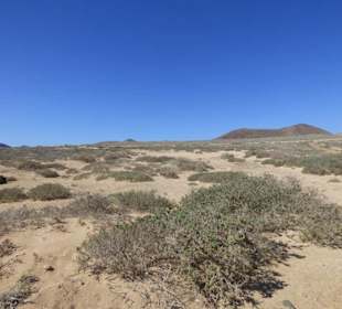 Ausflug nach La Graciosa