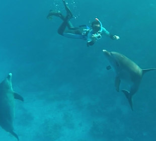 Delfinausflug mit MO am 07.11.2017