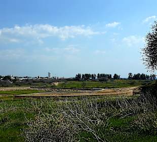 Archäologischer Park Kato Pafos