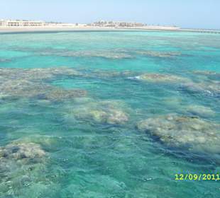 Tolles Riff vor Soma Bay