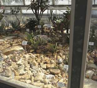 Botanischer Garten