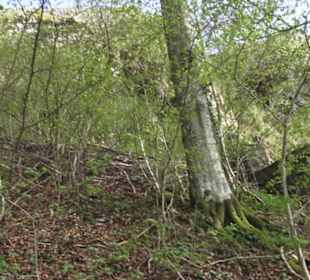 Wanderweg Hochgehswiggert