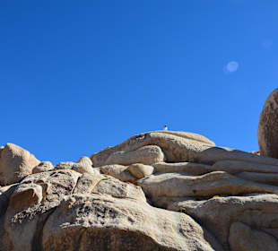 "Klettern" im Joshua Tree National Park