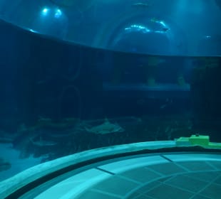 Aquarium mit Untersee-Station