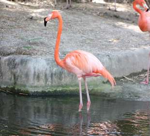 Manati Park