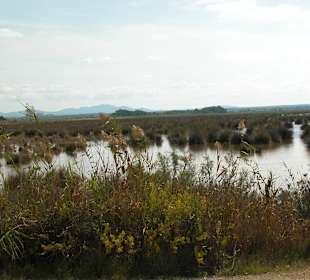 Naturschutzgebiet