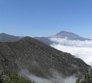 Teide
