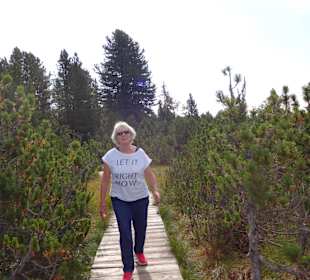 Wanderung,Latschenkiefer