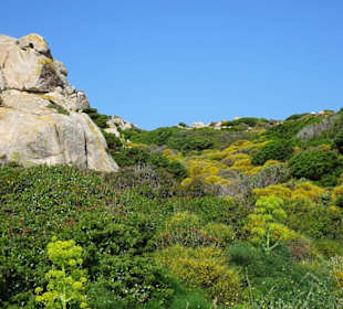Wanderung am Capo Testa