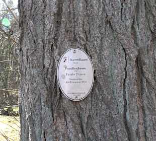 Fürstlicher Park Inzigkofen