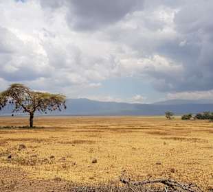 Geführte Touren Paradies Safari
