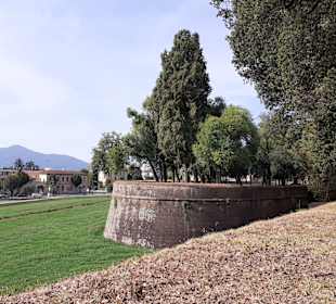 Baluardo San Colombano