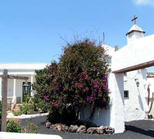 Lanzarote - Jardín de Cactus