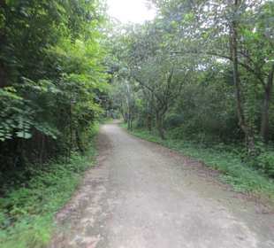 Ein Spaziergang auf dem Ruinen Gelände