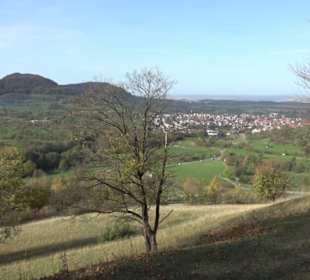 Premiumwanderweg hochgehkeltert Neuffen