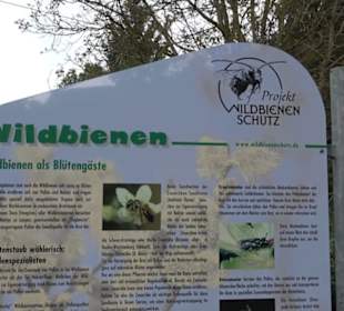 Naturinfopfad Weggental