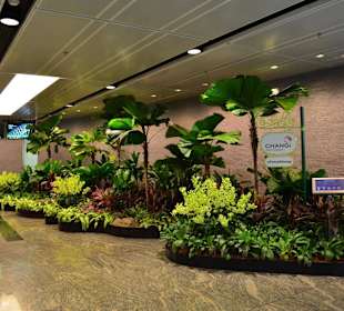 Flughafen Singapur Changi (SIN)