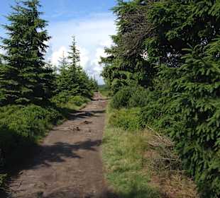 Wanderweg zur Tafelfichte
