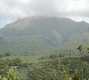 Mount Pelee