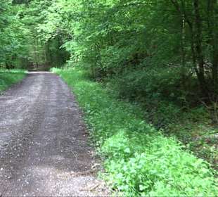 Wandertour Feuchtgebiet Schönbuch
