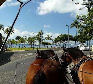 Stadtrundfahrt mit dem Pferdewagen
