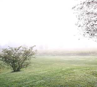 Die Anlage im Frühnebel