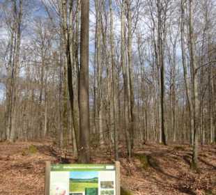 Wandereindrücke: von Handthal nach Ebrach