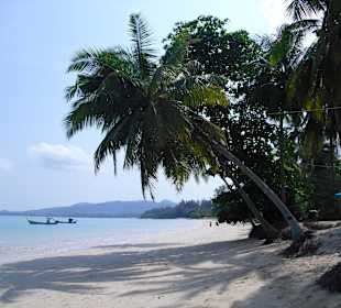 Coconut Beach... nur 5 Min. mit  Roller entfernt-Palm Galler