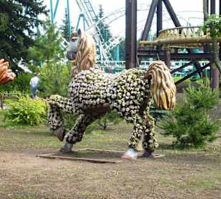 Park Rozrywki Divo Ostrov