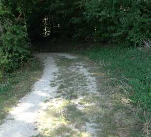 Bussen Schöpfungsweg Offingen